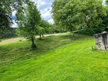 Bild 3:Biete Mulcharbeiten von 0° bis 45° im Gelände an