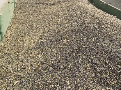 Bild 5:Bio-Ware zu verkaufen