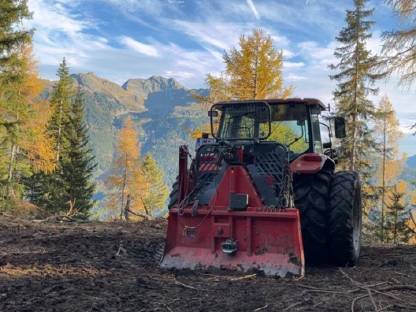 Bild 2:Verschiedenste land- und forstwirtschaftliche Tätigkeiten