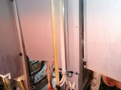 Bild 8:Boumatic MR D2