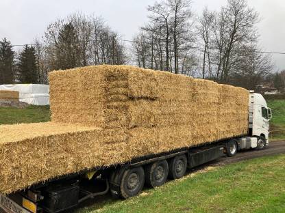 Bild 4:Gerstenstroh und Weizenstroh