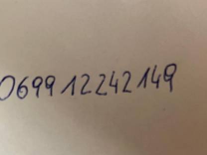 Bild 5:Meerschweinchen