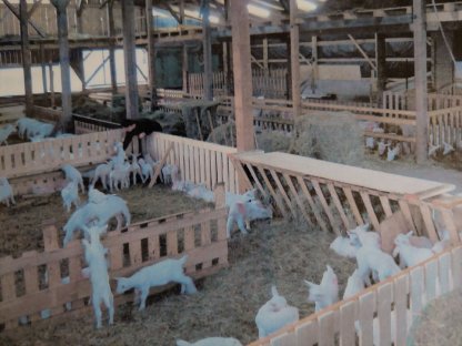 Bild 3:Verkaufe 2 ha Grund mit Stallgebäude