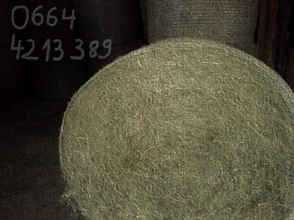 Grumetballen Ernte 2024, 2025 Gmunden