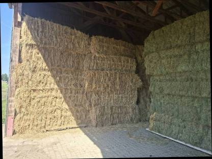 Bio-Heuballen und Bio-Krummetballen