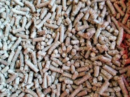 Bild 4:Pelletspresse Magic Pelletatrice