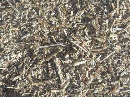 Bild 2:Miscanthus in Rundballen (Stroh)