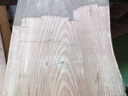 Bild 2:Pfosten - Ulme