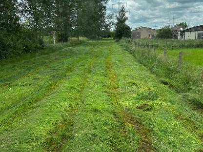 Bild 7:Heu 1. Schnitt