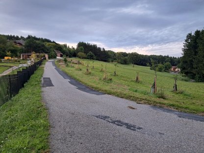 AllrounderIn gesucht