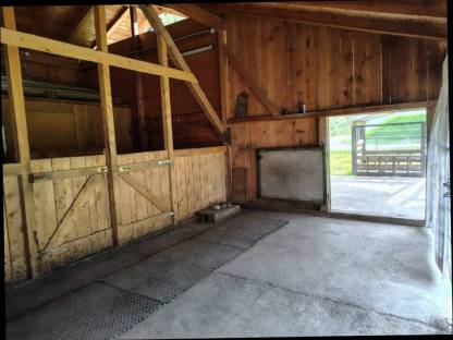 Bild 5:Einstellplatz im Offenstall Haiming