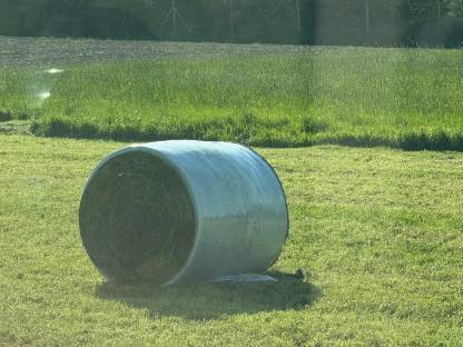 Bild 2:Bio Grassilage, Silageballen, 2025