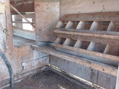 Bild 6:Hühnerhütten