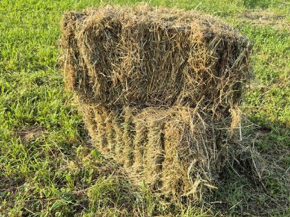 Kleine Heuballen, Quader-Heuballen, Ernte August 2025