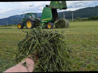 Bild 5:Bio Austria Siloballen