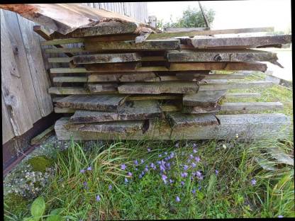 Bild 2:Verkaufe Birnstamm geschnitten