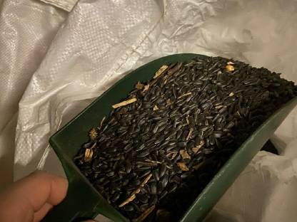 Bild 3:Verkaufe Sonnenblumenkerne