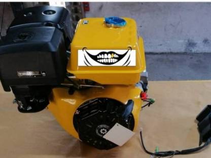 Bild 4:Rasant MAG Motor Ersatz für Rasant Super, Rasant Motormäher