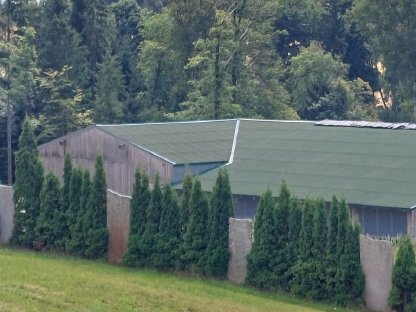 Verkaufe 2 ha Grund mit Stallgebäude