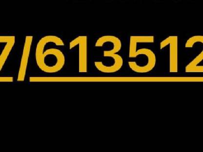 Bild 7:Frontlader Quicke Q46