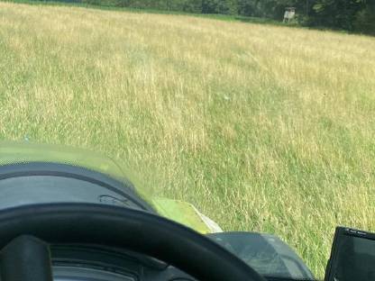 Bild 5:Heu 1. Schnitt Pferdeheu Quaderballen