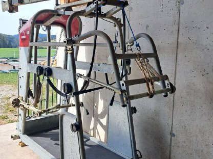 Bild 3:Klauenpflegestand Rosensteiner Top 5