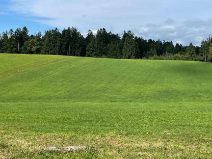 Grünland 4 Schnitt
