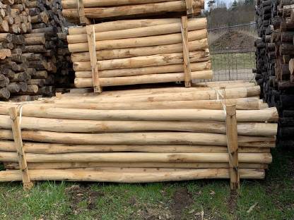 Bild 4:Akazienpfähle, Akazien Robinienpfähle, Weidezaun, Zaunpfähle