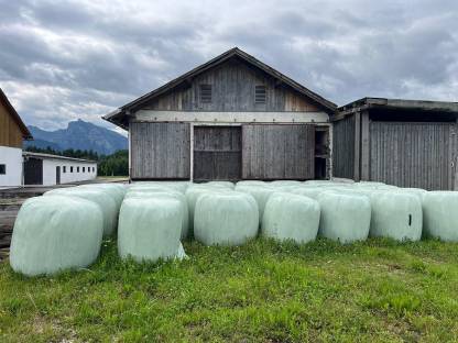 Bild 2:Silageballen zu verkaufen