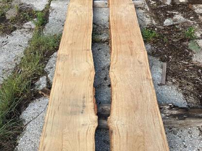 Bild 8:Eichenholz Schnittware, 30, 50 mm