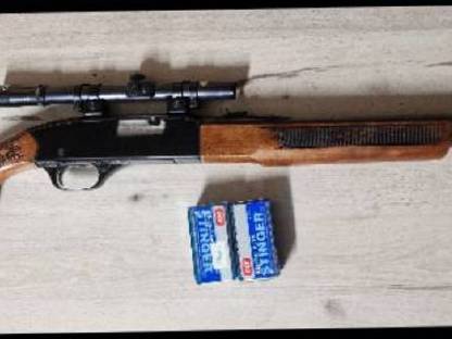 Winchester 22lr