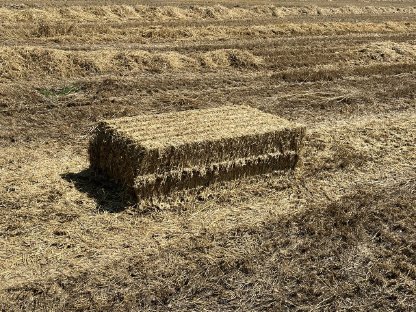 Bild 3:Quaderballen Stroh Finecut