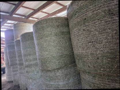 Bild 3:Heurundballen