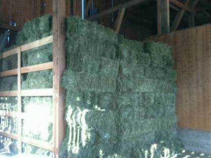 Bild 5:Heu, Stroh, Silage