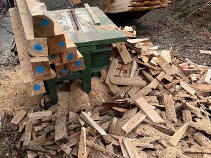 Bild 3:Lärchenstempel