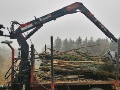Holzkran Penz 2000 Z-Kran