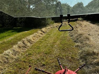 Bild 4:Heu 1. Schnitt