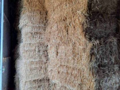 Bild 4:Futter Stroh, geschnitten oder lang