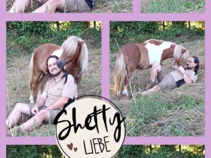 Bild 4:Suche dringend ein Winterquartier