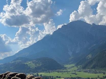 Jura Schafe Bio