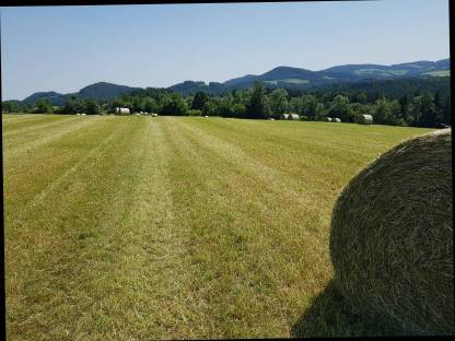 Bild 4:Bio-Heuballen, Heu