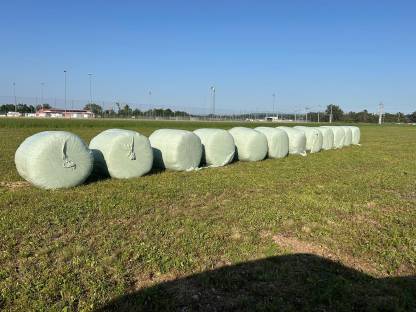 Bild 2:Silage zu verkaufen