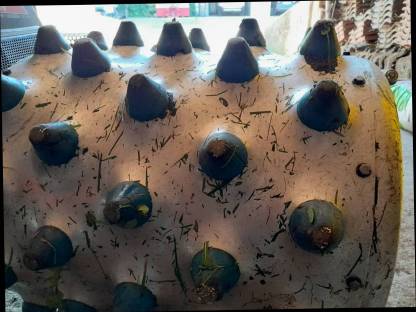 Bild 3:Brielmaier Alu-Stachelwalzen