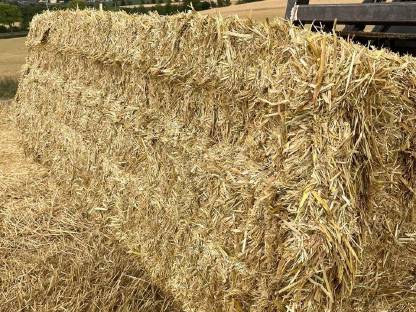 Bild 2:Stroh Ernte 2025 – perfekt für Rinder, Schweine und Pferde