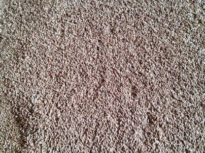 Bild 2:Bio Roggen für Tierhaltung