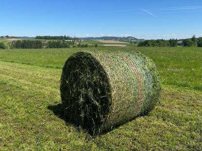 Bild 2:Verkaufe Kleegras- und Silageballen, Schnitt 2025