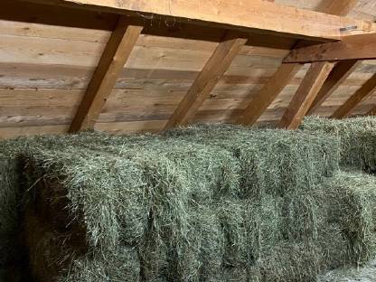 Bild 2:Kleinballen 2. Schnitt 2025