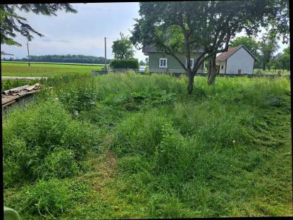 Bild 4:Mulcharbeiten, Mäharbeit, Böschungsmähen