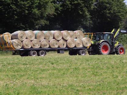 Bild 3:Heulage Rundballen, Pferdeheulage, Rinderfutter Rinderheulage