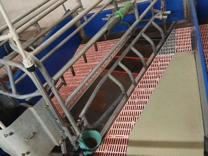 Bild 6:Aufstallung für Zuchtschweine